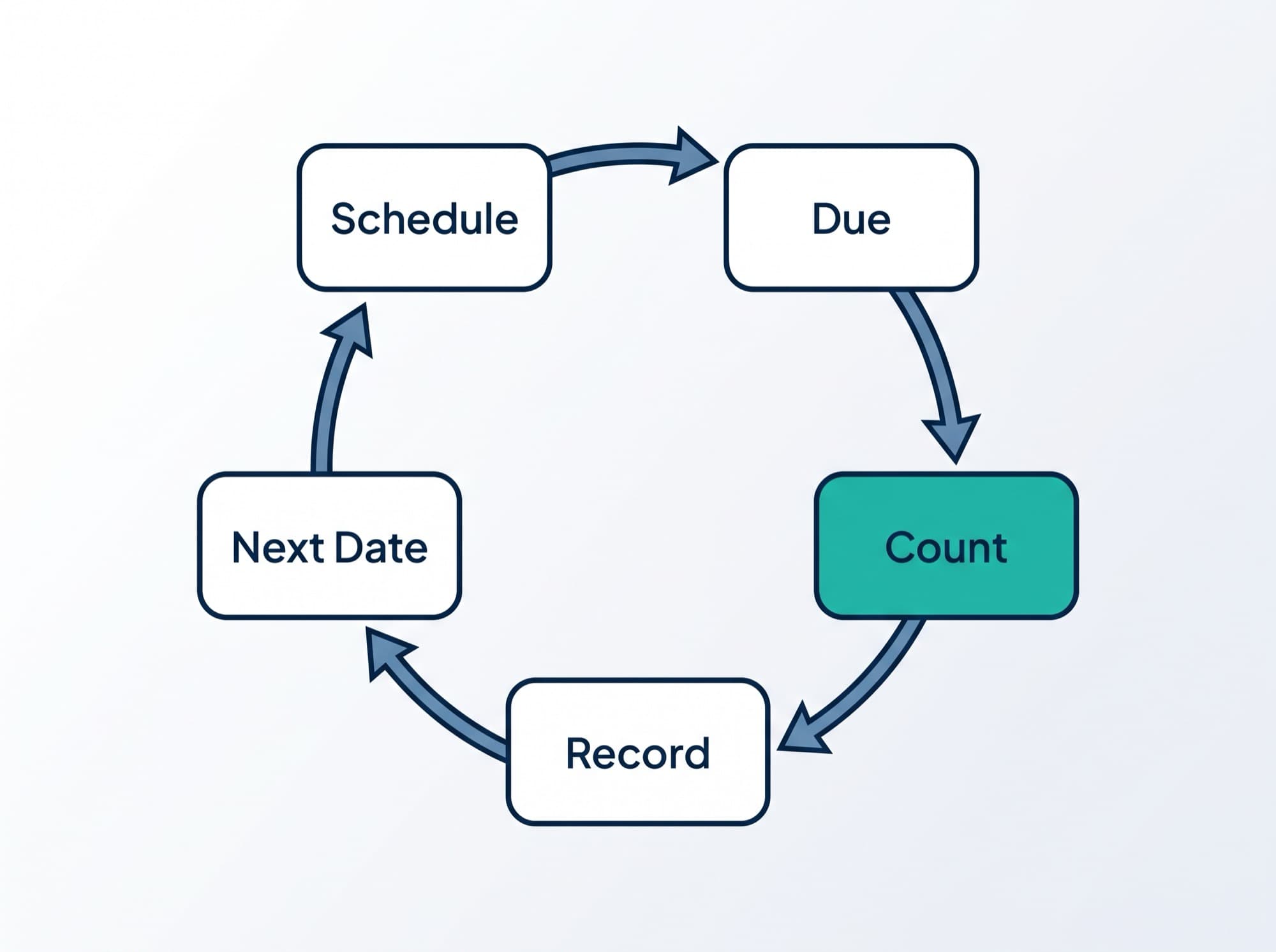 The cycle counting loop in five steps: schedule, due, count, record, next date, returning to schedule
