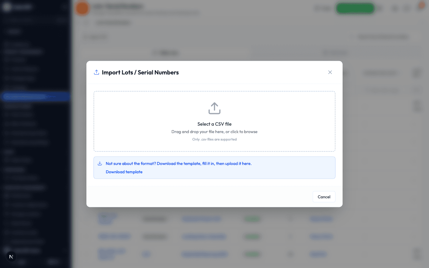 The import window with the drop zone and a link to download the template