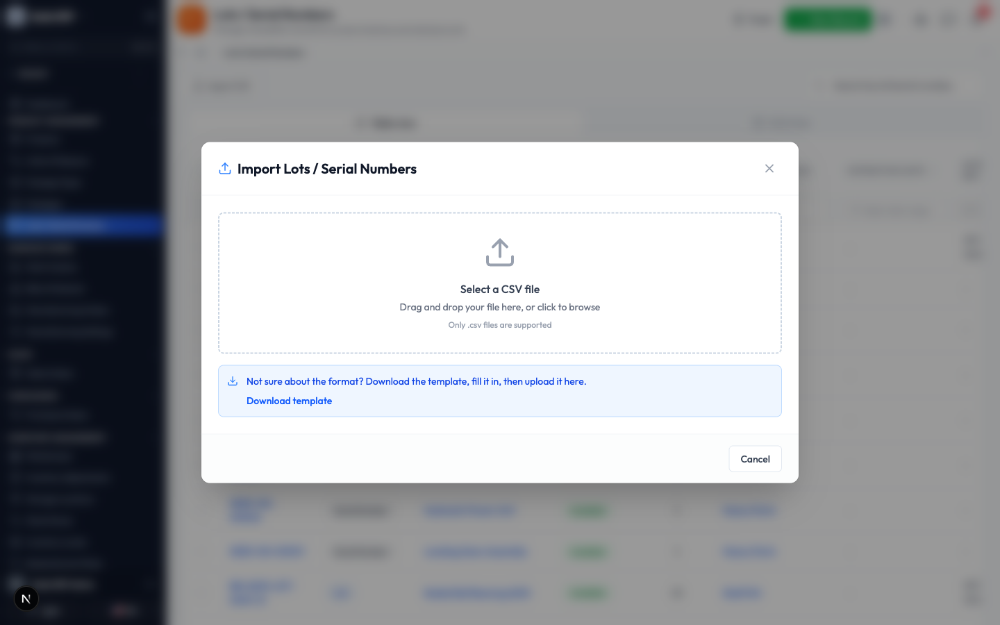 The import window with the drop zone and a link to download the template